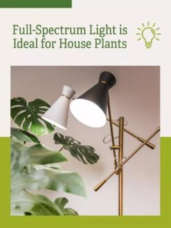 Adjustable 3-Arm Grow Lamp -Eco Garden Shop 3 Arm 1