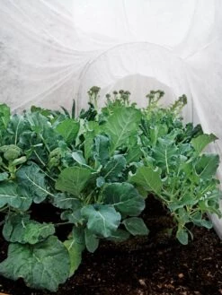 Summerweight Garden Fabric -Eco Garden Shop 32644 7936 tif