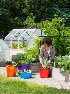 3-Season Plant Protection Tent, 3' X 6' -Eco Garden Shop 35 592 0181 1