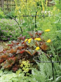 Essex Plant Supports -Eco Garden Shop 37423 280 tif