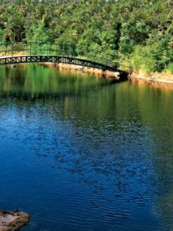 Aquasphere Pond Cleaners -Eco Garden Shop 37425 001ed 1