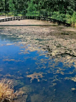 Aquasphere Pond Cleaners -Eco Garden Shop 37425 002ed 1