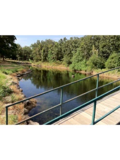 Blast, 125,000 Gallon, 12 Packets -Eco Garden Shop 37425 002v 1