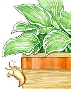 Copper Slug Tape -Eco Garden Shop 38 994 b