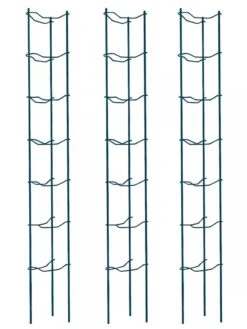 Tomato Ladders, Set Of 3 -Eco Garden Shop 38184 002E psd