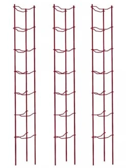 Tomato Ladders, Set Of 3 -Eco Garden Shop 38185 002E psd