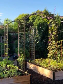 Deep Root Raised Beds, 14" Deep 4' Wide 10 Deep Root Raised Beds, 14" Deep 4' Wide -Eco Garden Shop 38690 02IN tif