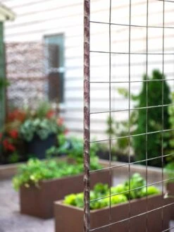 Jardin Rose Arch -Eco Garden Shop 38690 9948 tif