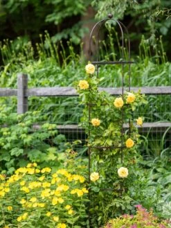 Jardin Round Obelisk, 7' -Eco Garden Shop 39 530 1668 tif