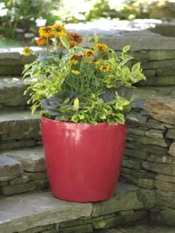 Viva Round Self-Watering Rolling Planter, 17.25” Diameter -Eco Garden Shop 39326 046 tif