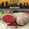 Beet, Boro Organic Seeds -Eco Garden Shop 3 4 crop 02367 8613546 Beet Boro SDSC