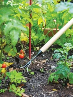 Gardener's Lifetime Long-Handled Double Tool -Eco Garden Shop 3 4 crop 8592107 2460 tif