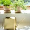 Precision Brass Watering Can -Eco Garden Shop 3 4 crop 8612812 0076 precision brass watering can
