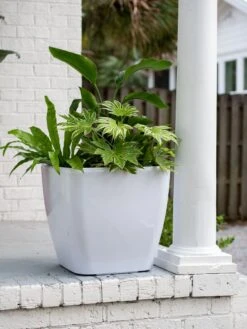 Viva Square Self-Watering Rolling Planter, 20" Diameter, Set Of 2 -Eco Garden Shop 3 4 crop 8612930 0033 tif