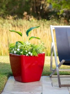 Viva Square Self-Watering Rolling Planter, 20" Diameter, Set Of 2 -Eco Garden Shop 3 4 crop 8612930 0035 tif