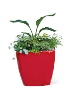 Viva Square Self-Watering Rolling Planter, 20" Diameter, Set Of 2 -Eco Garden Shop 3 4 crop 8612930 0037 tif