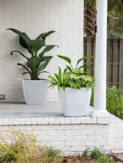 Viva Square Self-Watering Rolling Planter, 20" Diameter, Set Of 2 -Eco Garden Shop 3 4 crop 8612930 10031