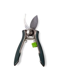 Houseplant Pruner -Eco Garden Shop 3 4 crop 8612961 0011