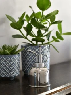 Indoor Plant Mister -Eco Garden Shop 3 4 crop 8612962 03V tif