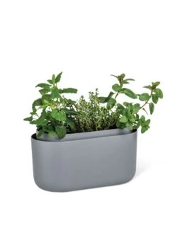 Tolita Recycled Self-Watering Flower Box -Eco Garden Shop 3 4 crop 8612964 01V tif