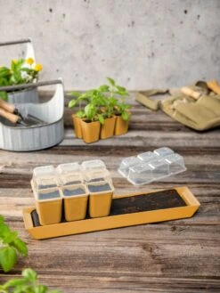 Gardener's Best® Humidity Dome, Set Of 2 -Eco Garden Shop 3 4 crop 8613067 10063