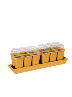 Gardener's Best® Humidity Dome, Set Of 2 -Eco Garden Shop 3 4 crop 8613067 5879 tif