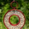 Circle Fly-Thru™ Bird Feeder With A Ruby Red Finish