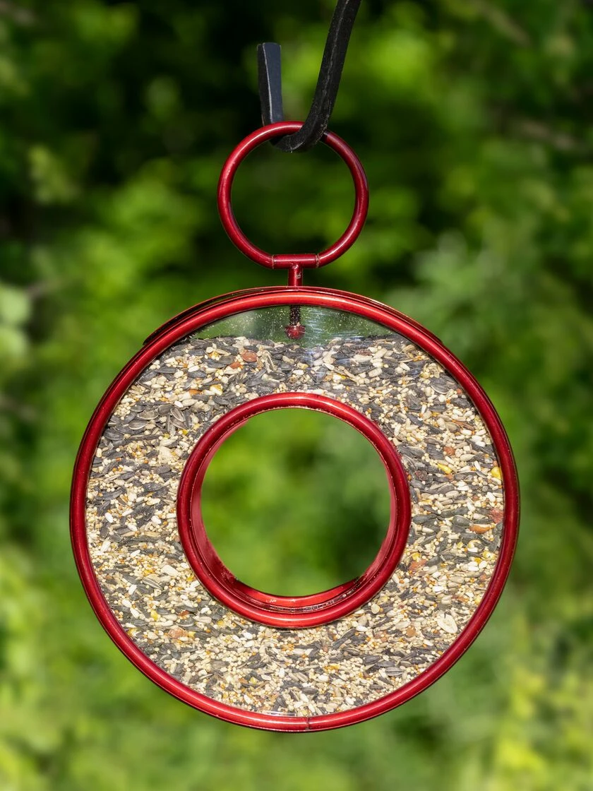 Circle Fly-Thru™ Bird Feeder With A Ruby Red Finish 3 Circle Fly-Thru™ Bird Feeder With A Ruby Red Finish
