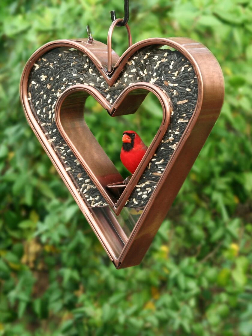 Heart Fly-Thru™ Bird Feeder 4 Heart Fly-Thru™ Bird Feeder - Image 2