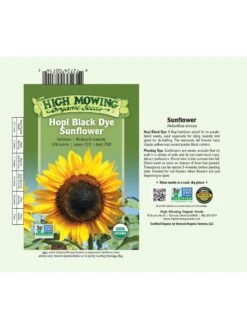 Hopi Black Dye Sunflower Organic Seeds -Eco Garden Shop 3 4 crop 8613630 01V 3 4