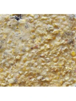 Cherry Sunflower Suet, 11.75 OZ, 12 Pack -Eco Garden Shop 3 4 crop 8613689 04V