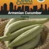 Armenian Cucumber Organic Seeds -Eco Garden Shop 3 4 crop 8613866 81608 Cucumber Armenian SDSC