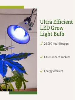 Miracle LED® Grow Light Bulb, Blue -Eco Garden Shop 3 4 crop Miracle Bulb Blue 1