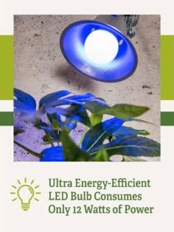 Miracle LED® Grow Light Bulb, Blue -Eco Garden Shop 3 4 crop Miracle Bulb Blue 2