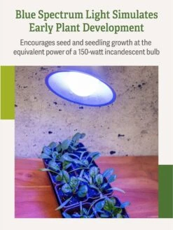 Miracle LED® Grow Light Bulb, Blue -Eco Garden Shop 3 4 crop Miracle Bulb Blue 3
