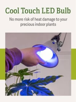 Miracle LED® Grow Light Bulb, Blue -Eco Garden Shop 3 4 crop Miracle Bulb Blue 4