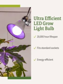 Miracle LED® Grow Light Bulb, Red And Blue -Eco Garden Shop 3 4 crop Miracle Bulb RB 1
