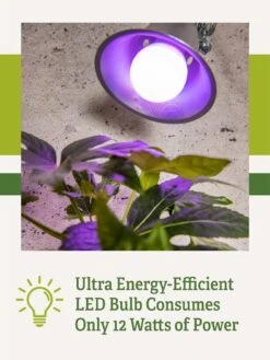 Miracle LED® Grow Light Bulb, Red And Blue -Eco Garden Shop 3 4 crop Miracle Bulb RB 2