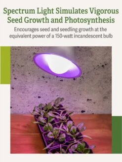 Miracle LED® Grow Light Bulb, Red And Blue -Eco Garden Shop 3 4 crop Miracle Bulb RB 3