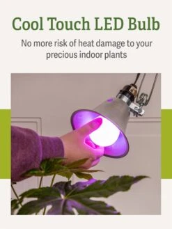 Miracle LED® Grow Light Bulb, Red And Blue -Eco Garden Shop 3 4 crop Miracle Bulb RB 4