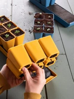 Gardener's Best® XL Seed Starting Kit -Eco Garden Shop 40 135 6188