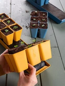 Gardener's Best® XL Seed Starting Kit -Eco Garden Shop 40 135 6192 1