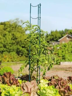 Stacking Tomato Ladders, Set Of 6 -Eco Garden Shop 40309 100 tif