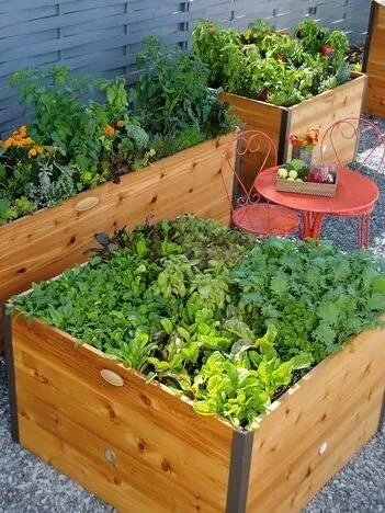 Elevated Raised Bed, 4' X 4' 4 Elevated Raised Bed, 4' X 4' - Image 2