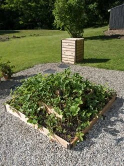 3-Tier Strawberry Bed -Eco Garden Shop 8586752 2341 tif