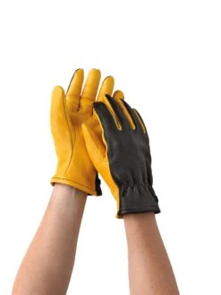 Women's Gold Leaf Dry Touch™ Gloves