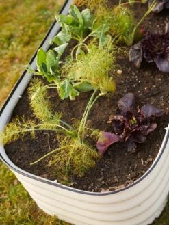 Birdies™ Modular Metal Raised Bed -Eco Garden Shop 8586930 6019 tif