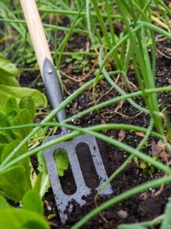 Gardener's Lifetime Spork -Eco Garden Shop 8586973 2383 tif