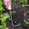 Gardener's Lifetime Cape Cod Weeder, Right-Handed -Eco Garden Shop 8586974 2361 tif