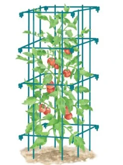 Tomato Cage, Single -Eco Garden Shop 8587039 TomatoCage BLUE tif